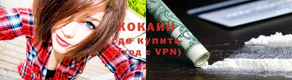 прущие грибы Арсеньев