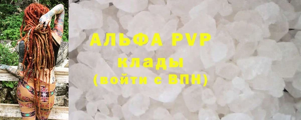 прущие грибы Арсеньев