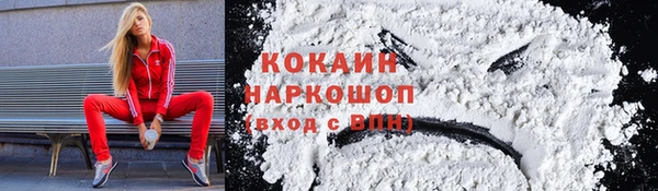 прущие грибы Арсеньев
