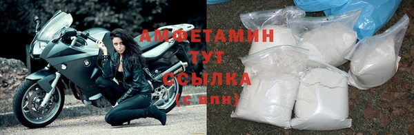 прущие грибы Арсеньев