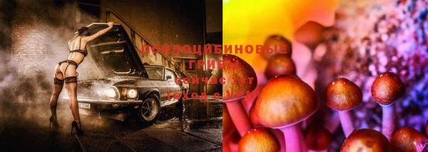 прущие грибы Арсеньев
