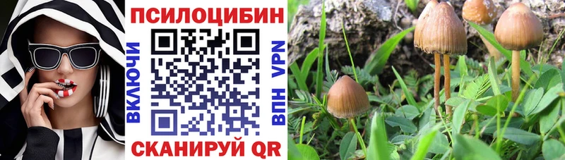 Псилоцибиновые грибы мухоморы  Купить закладки  Омск 